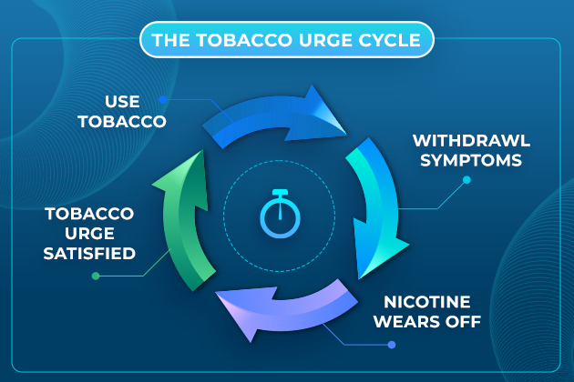 Nicotine Urge Cycle